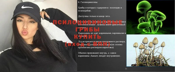 спайс Беломорск