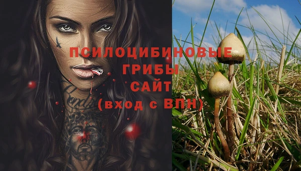 дмт Балахна